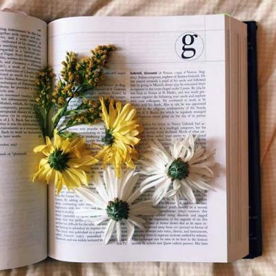 Pressed flowers in a book